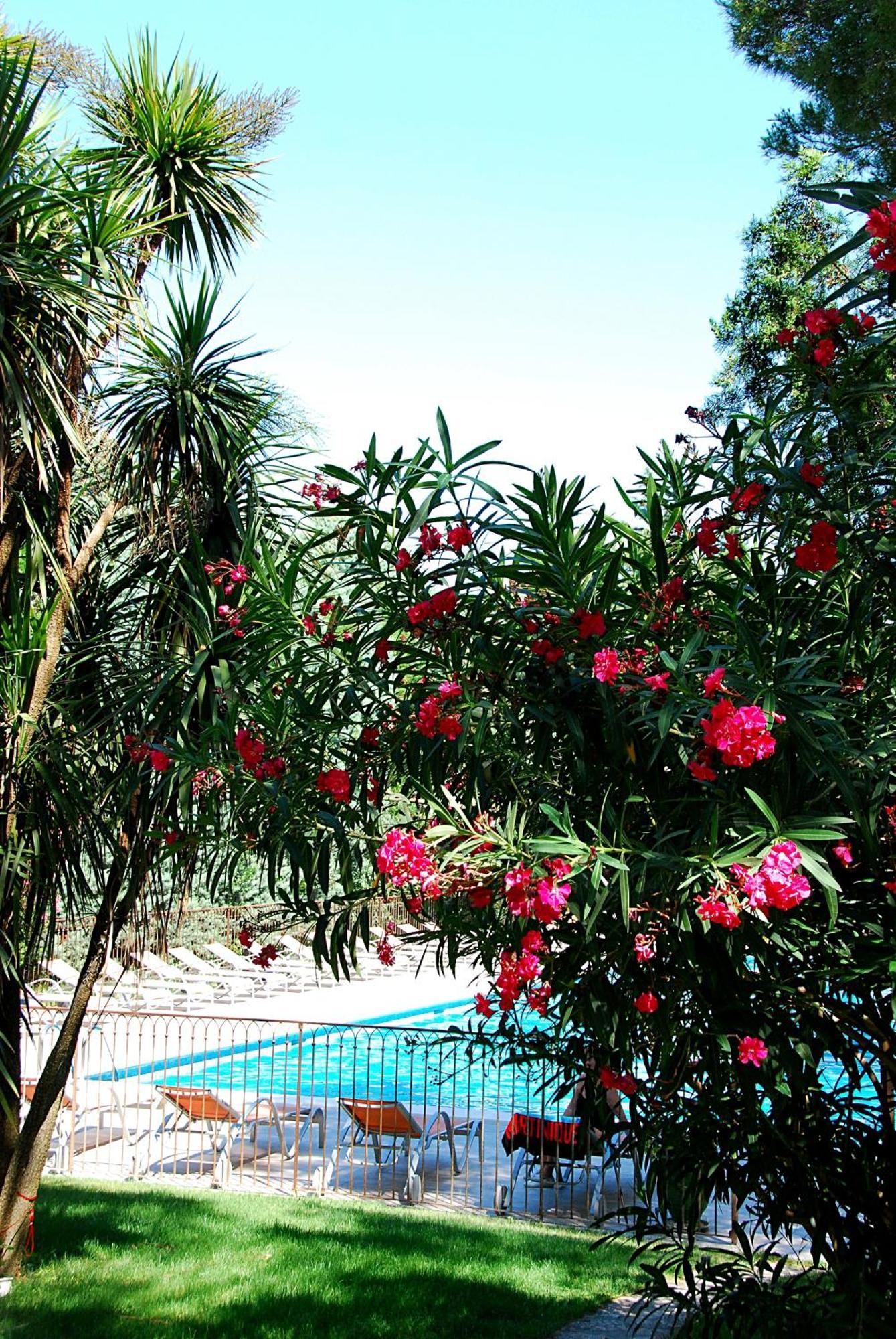 Hotel Les Mazets Des Roches Tarascon Kültér fotó